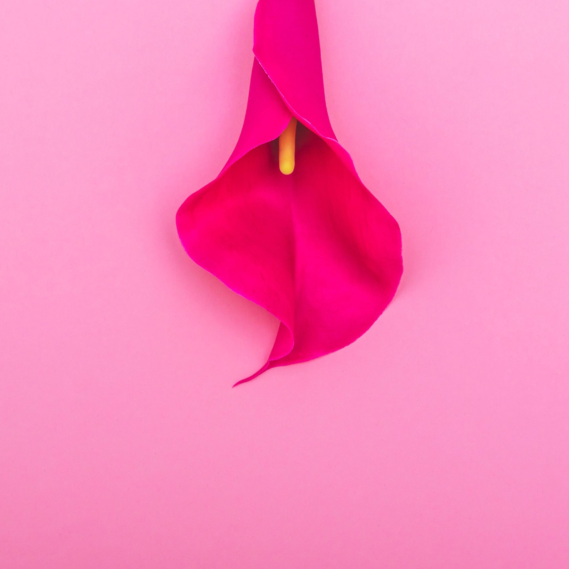 NEOLO huile de millepertuis, huile de pépins de raisin, huile intime, soin intime, sécheresse vaginale, ménopause, soulage les brûlures et les démangeaisons dans le vagin sec, atrophie vaginale, atrophie vulvo-vaginale 