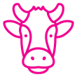 A pink line drawing of a cow 's head with horns.