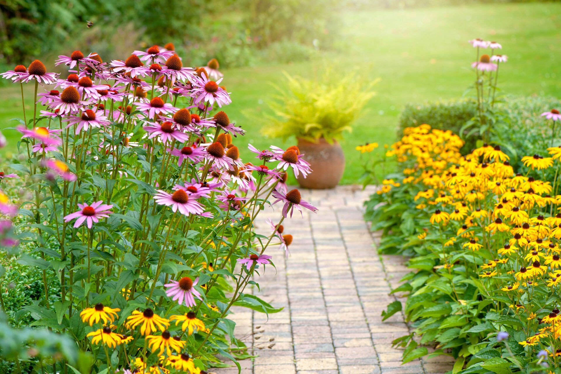 Summer Garden Flower — Ocean Reef, WA — SanTerra Sealing