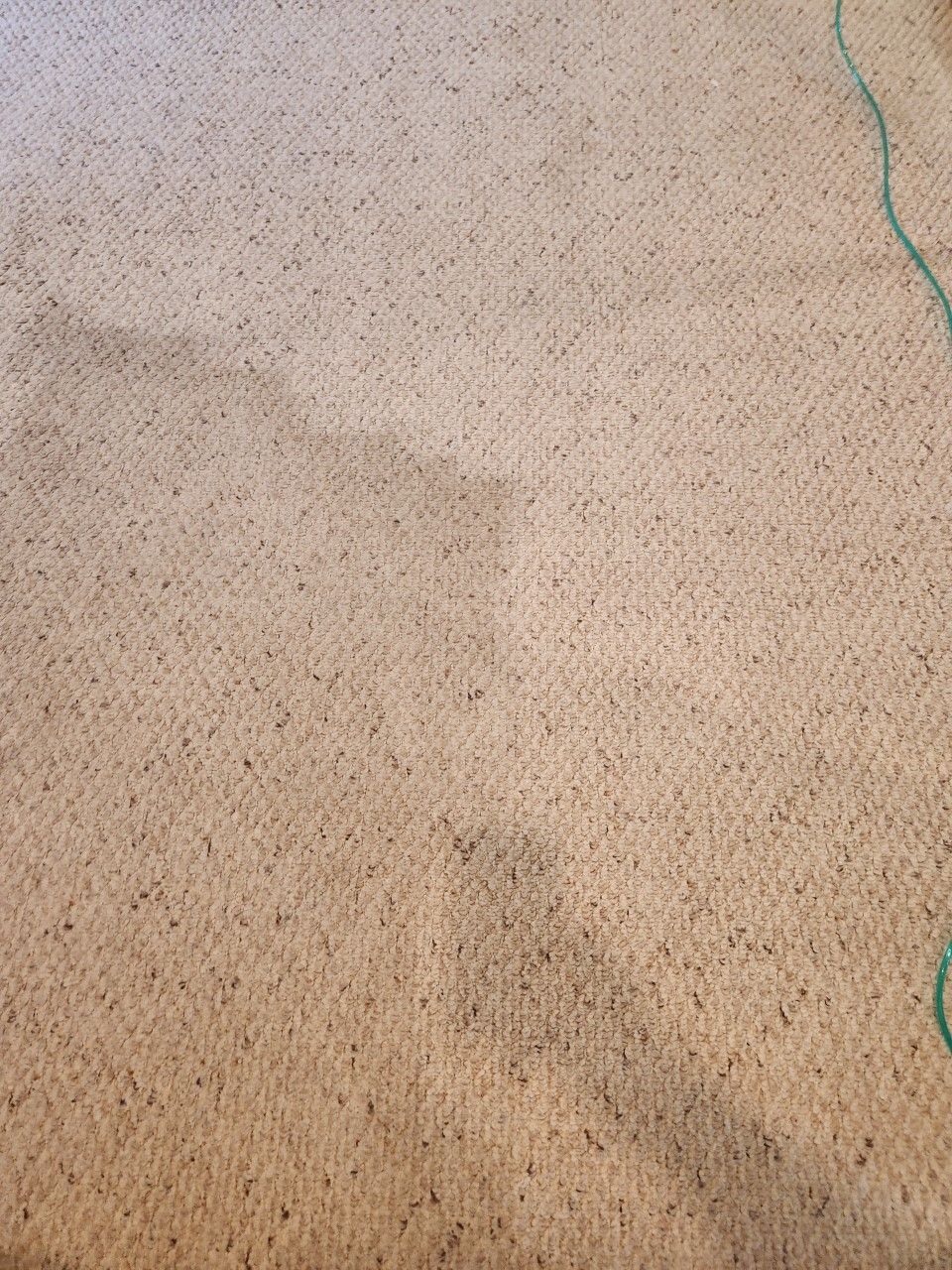 Expert Cleaning Services | Greensboro, NC | Carolina Steam