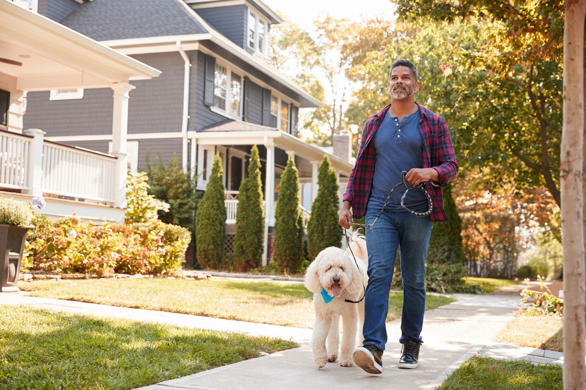 Professional dog walker Tysons VA