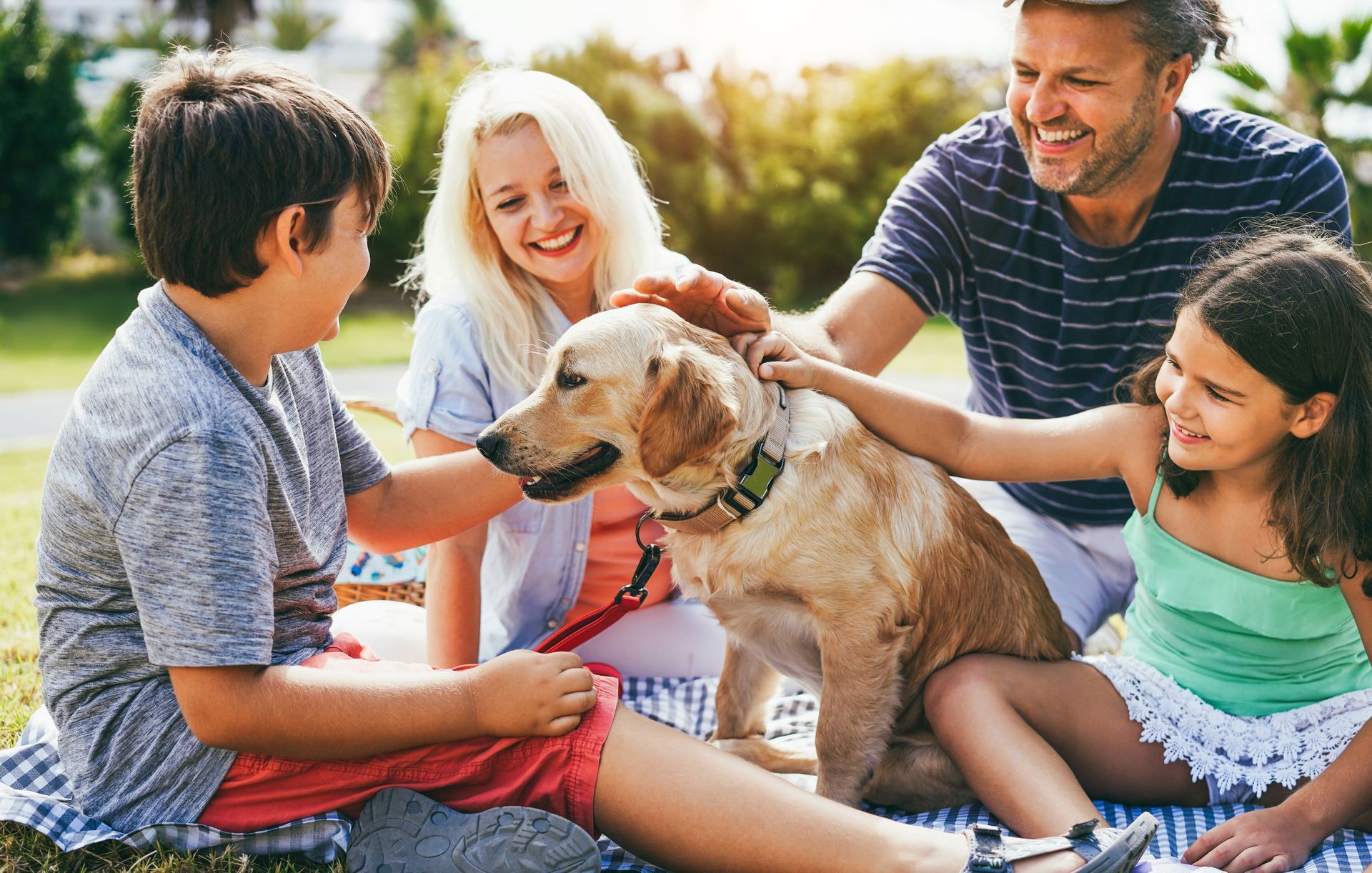 Family sitting on a blanket petting a dog in a sunny park