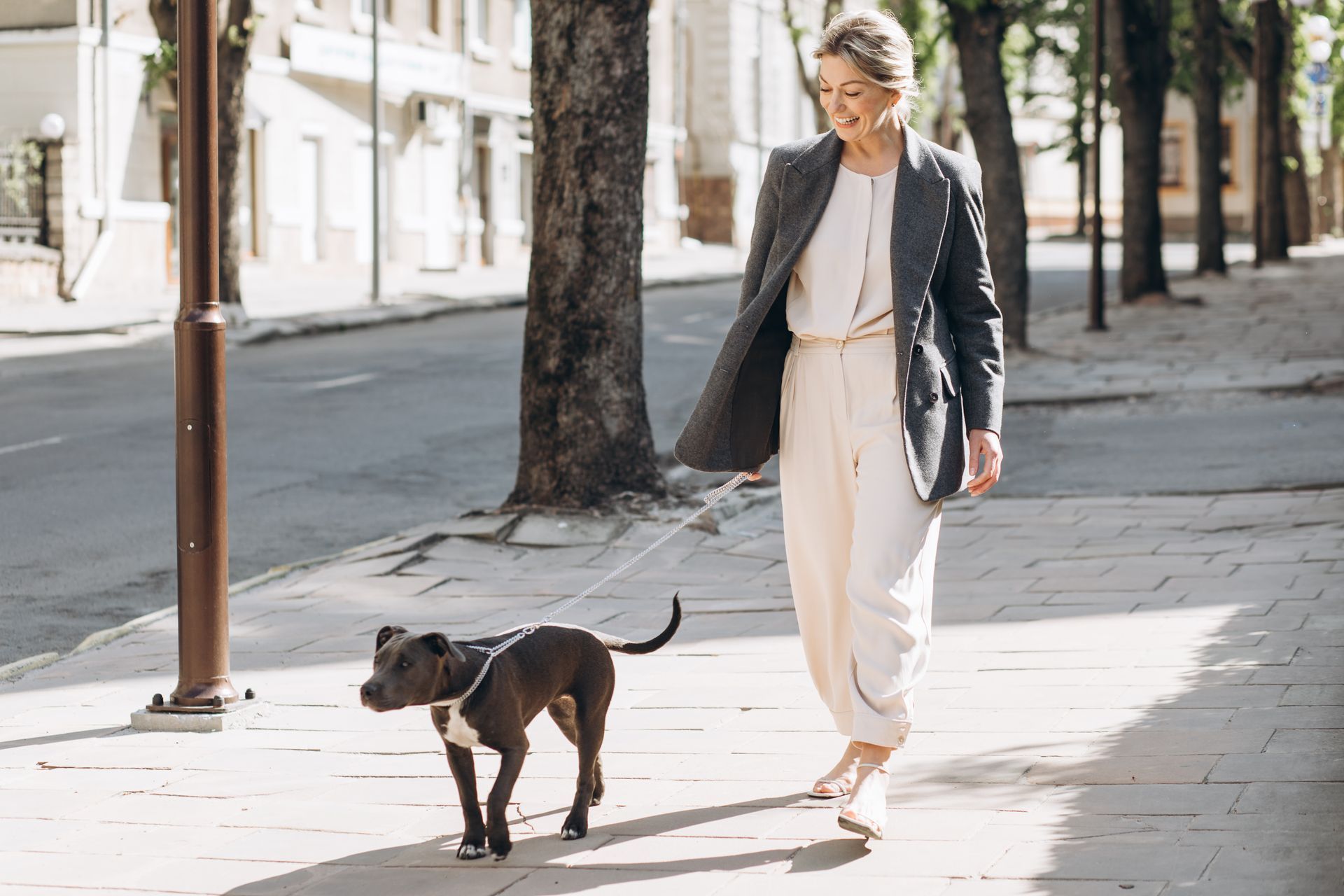 Professional dog walker Tysons VA