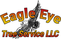 Eagle Eye Tree Service Eagle Eye Tree Service
