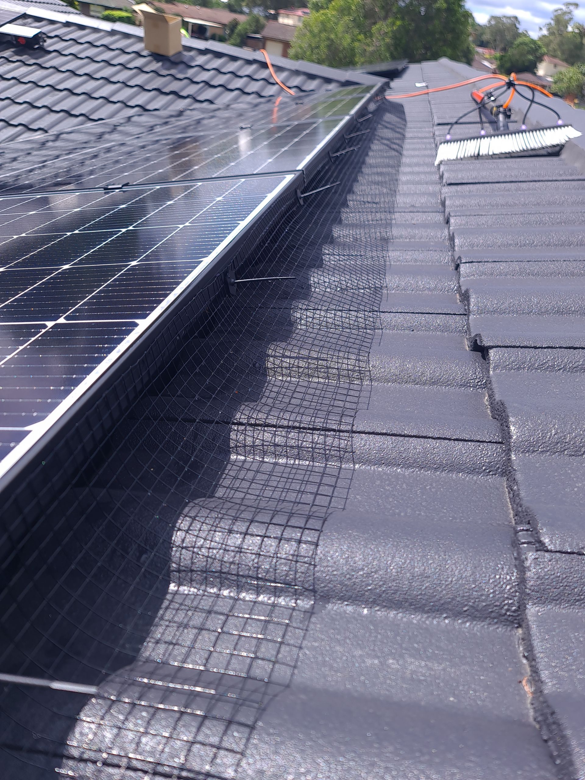 Solar panel bird proofing