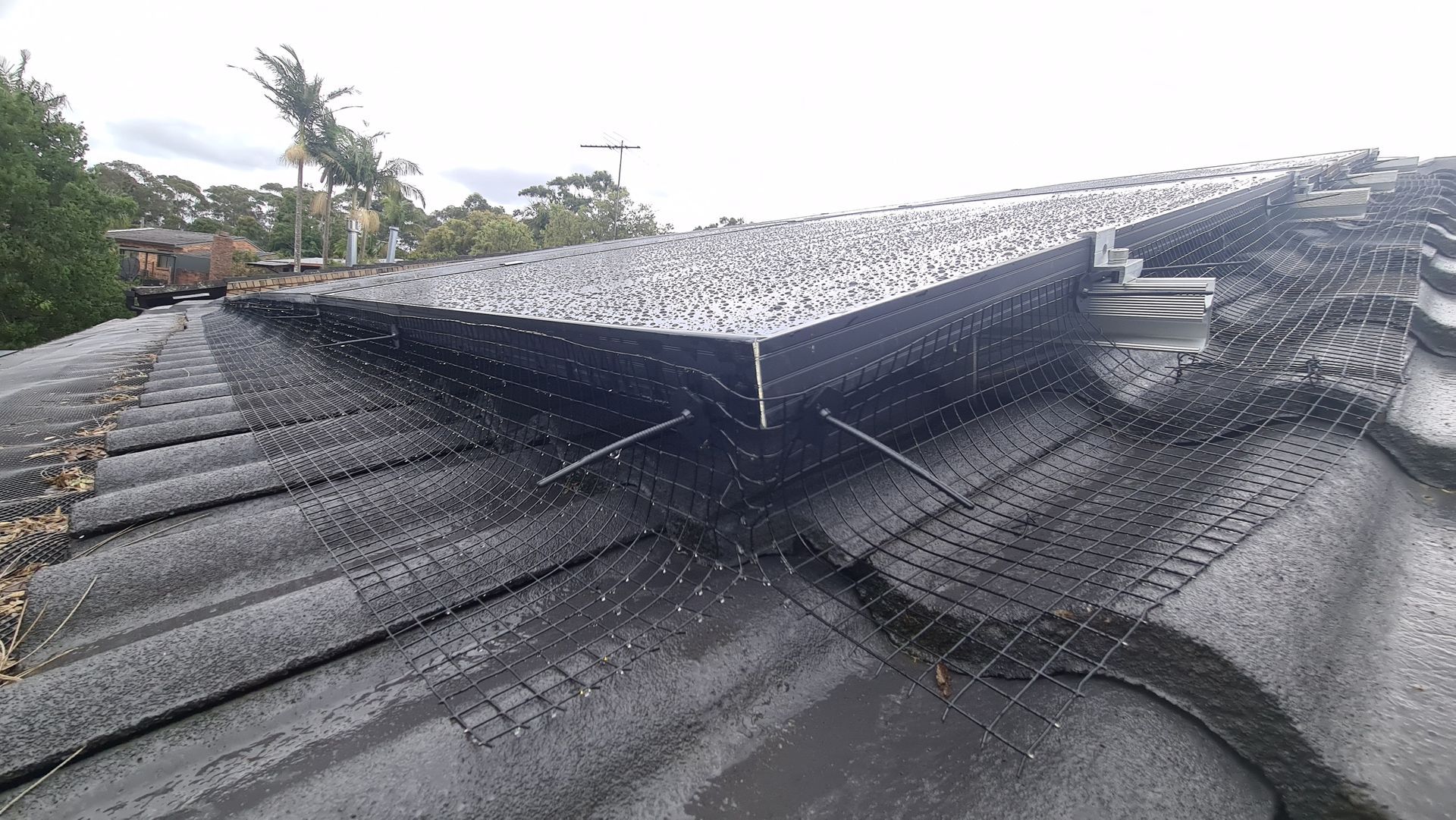 Solar bird proofing