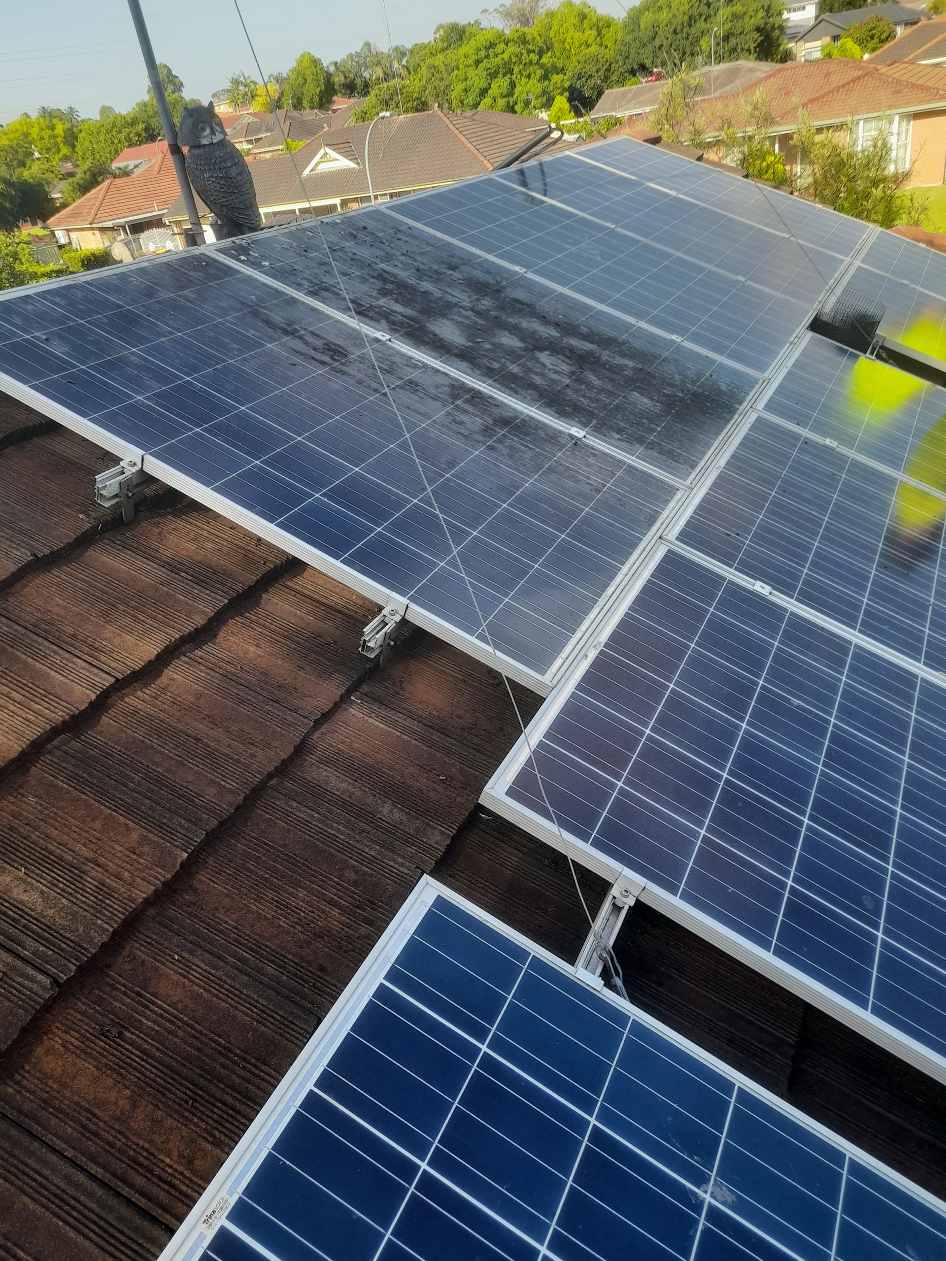 Dirty solar panelsLichen on solar