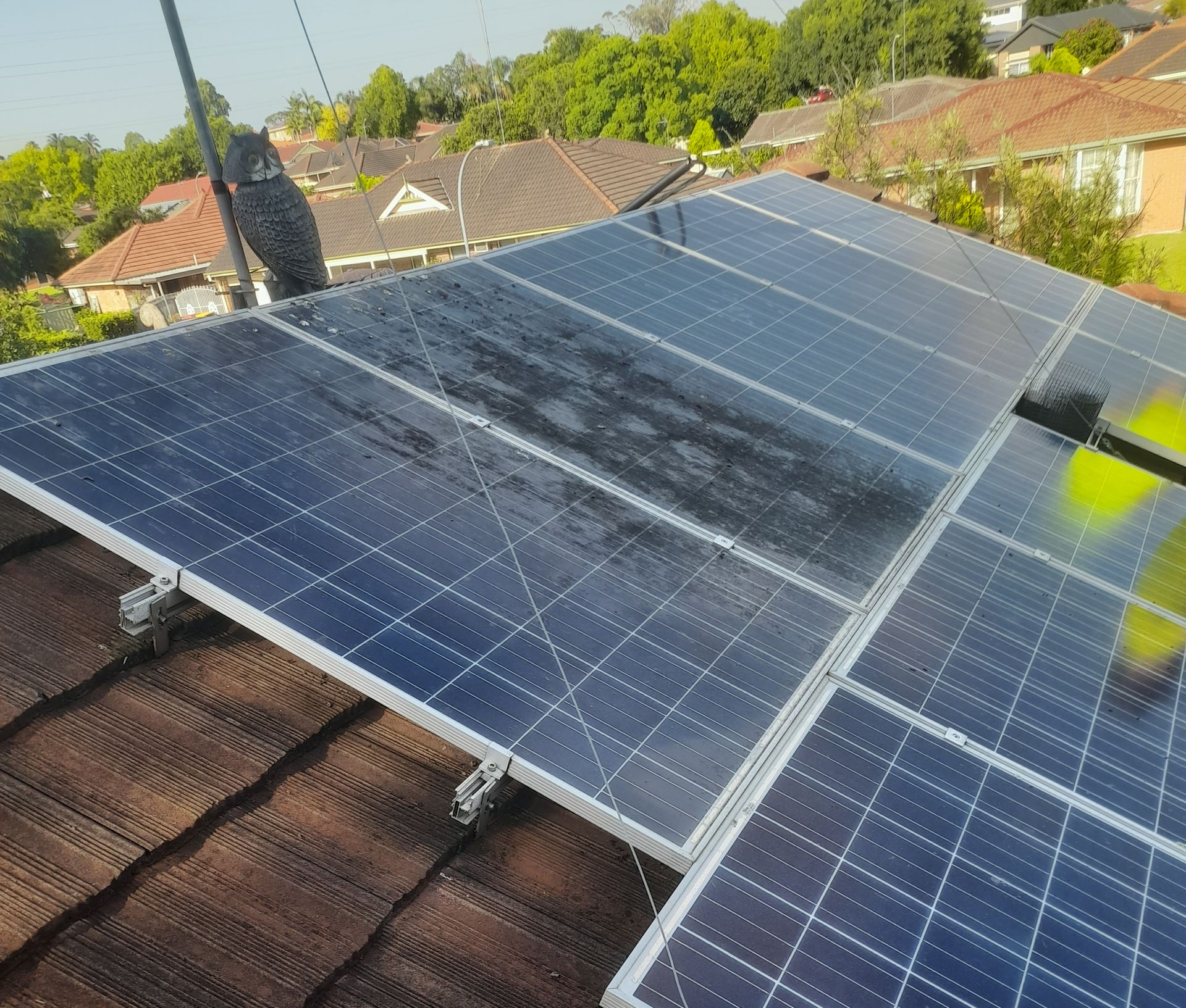 Bird droppings on solar