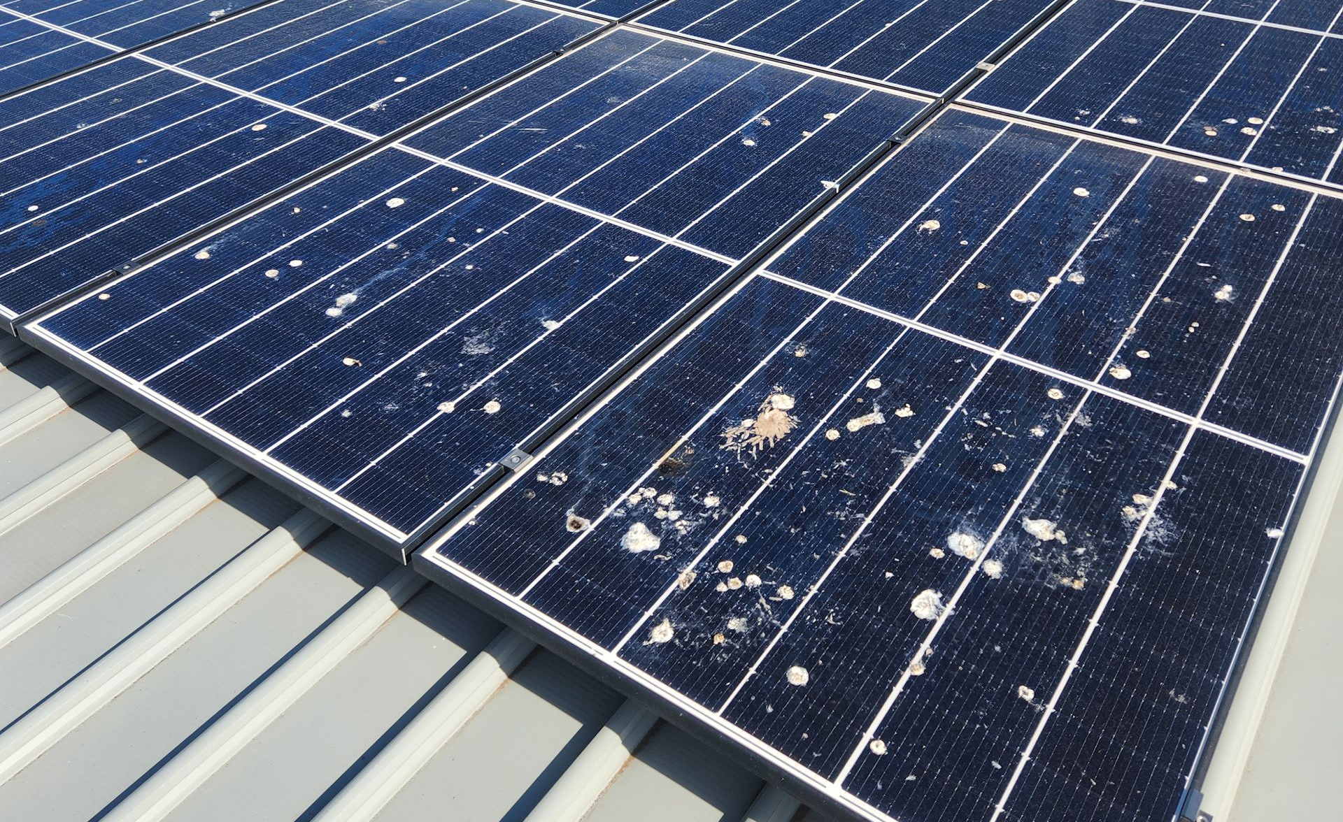Dirty solar panel