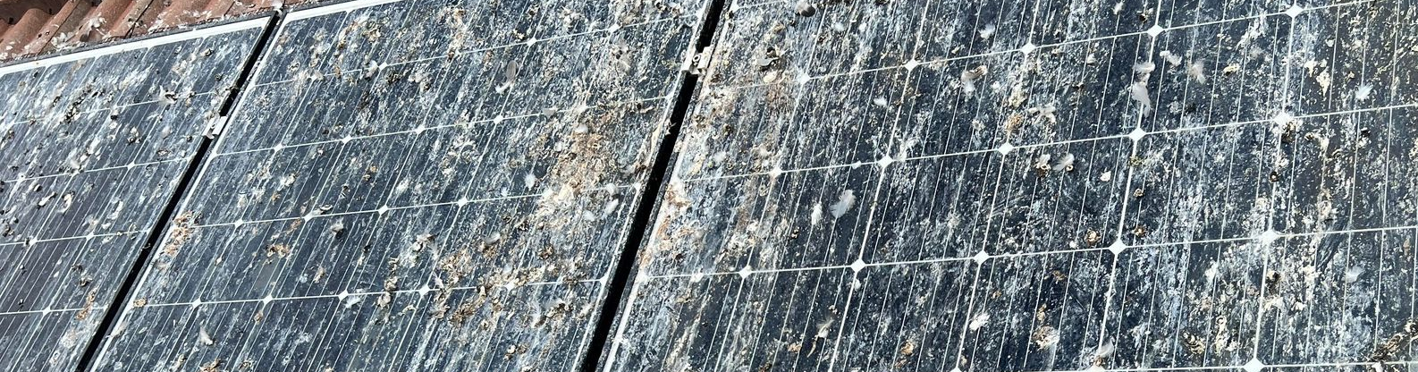Bird droppings on solar panels