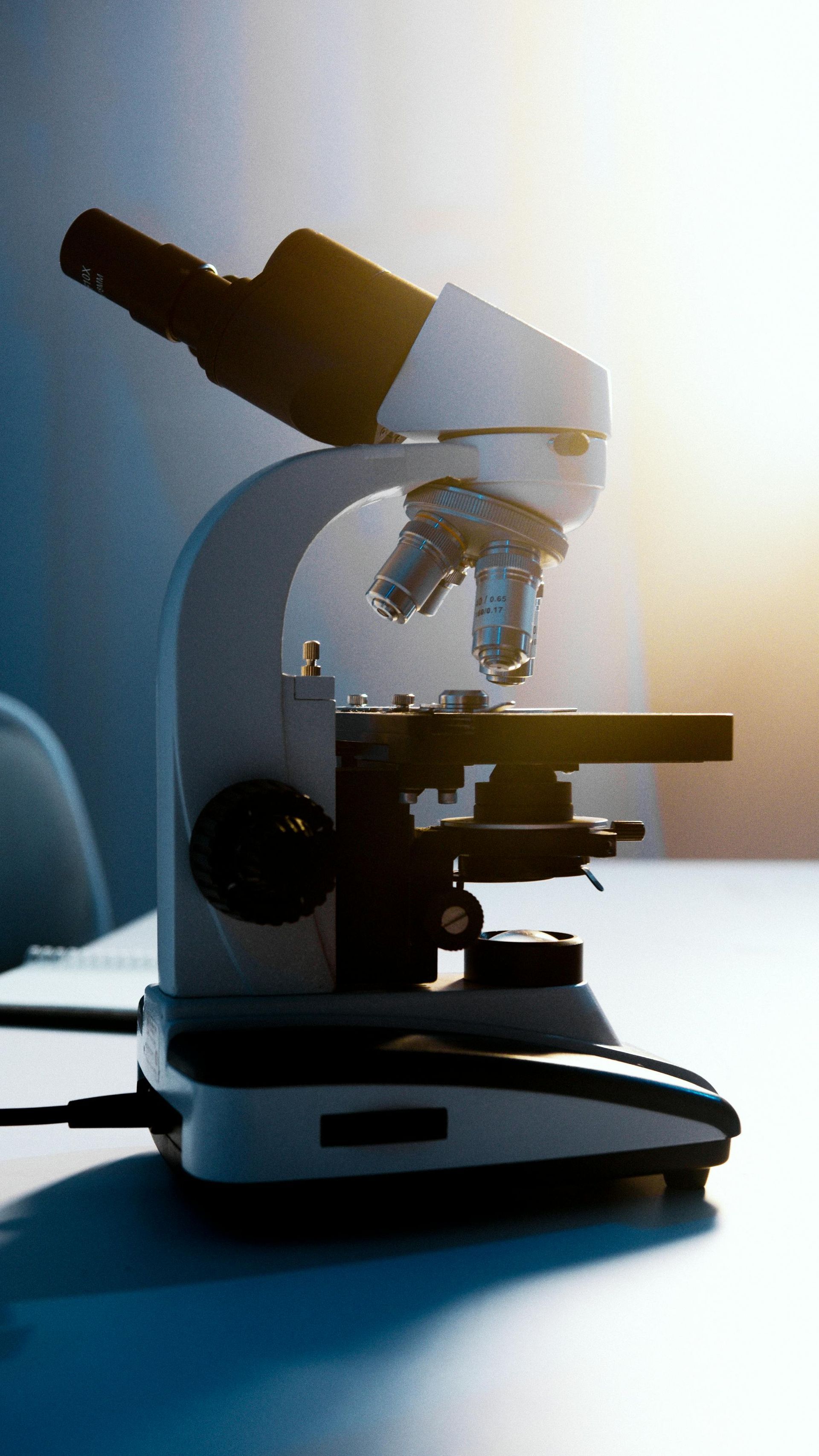 Microscopio