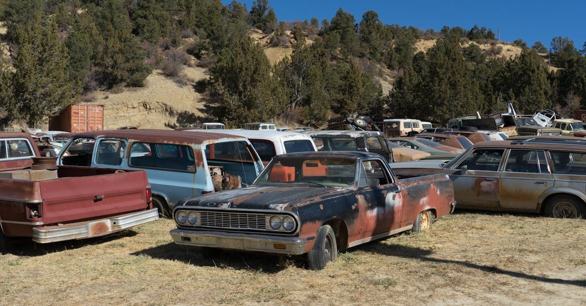 Rusty old cars parked in a grassy field at a junkyard, with trees and hills in the background