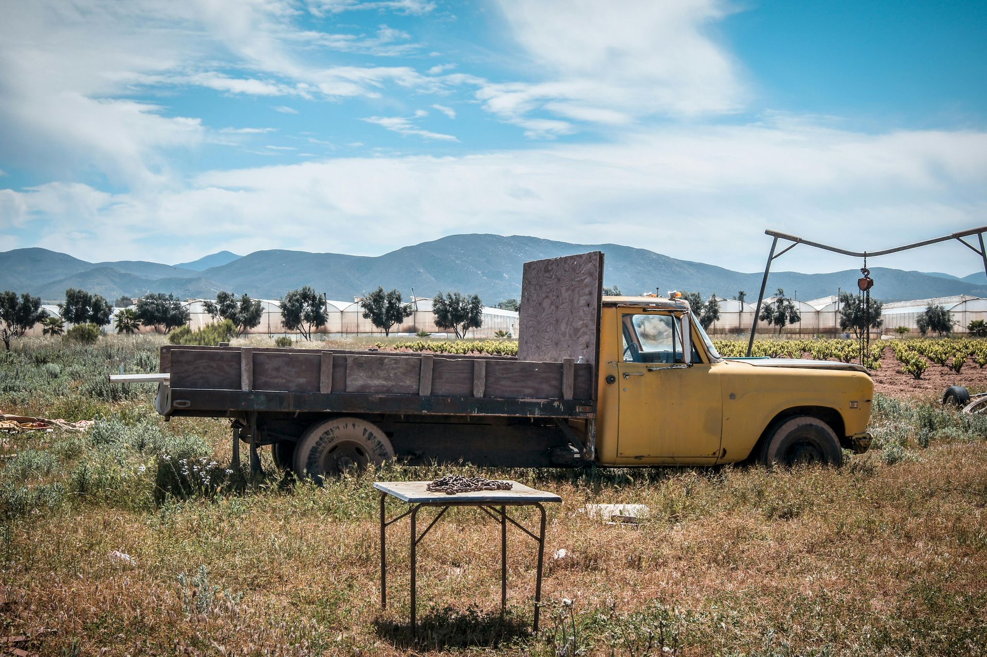 Old yellow pickup truck in a grassy field with mountains in the background.