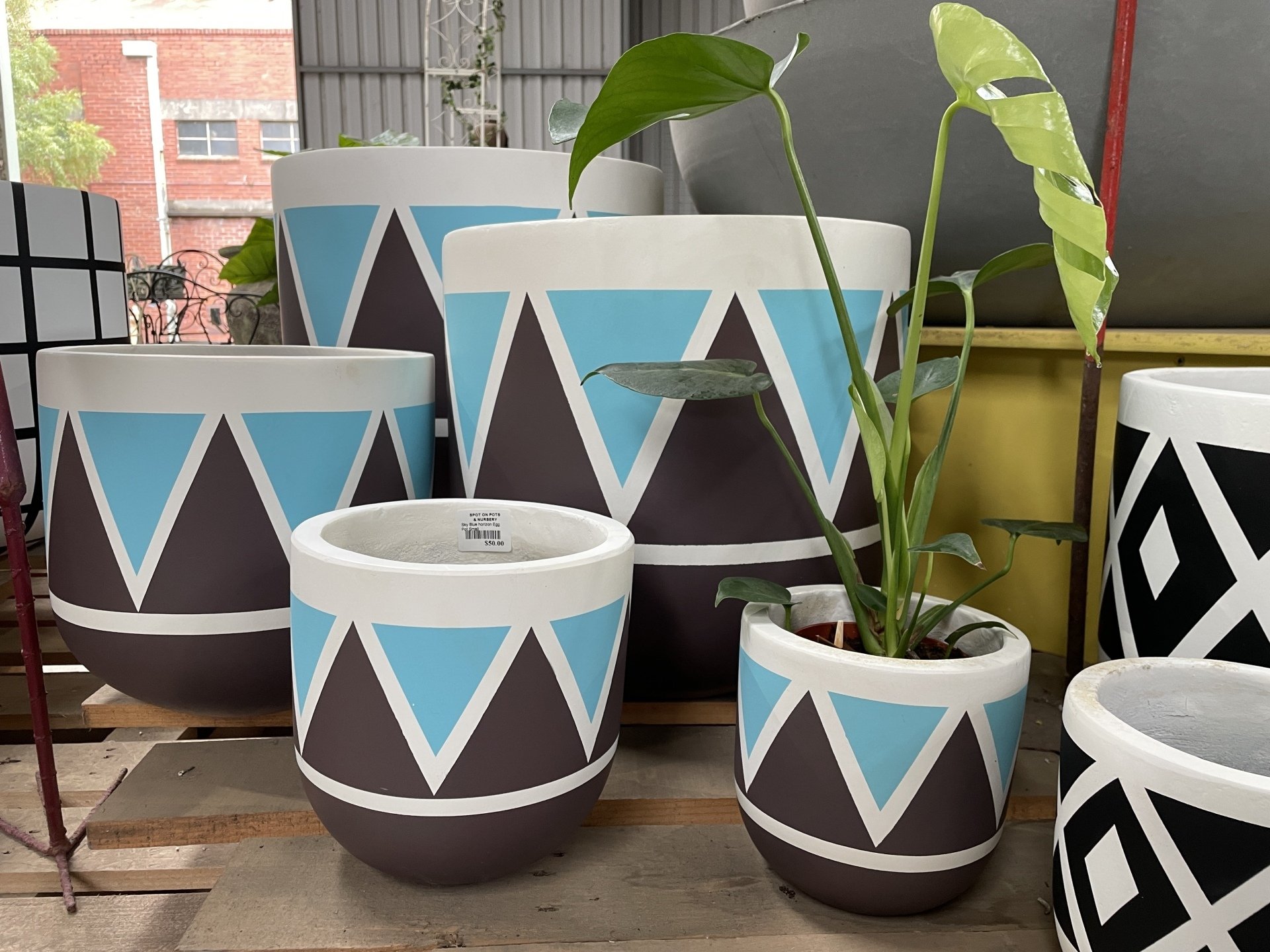 Garden Pots in Ballarat, VIC Spot on Pots and Nursery