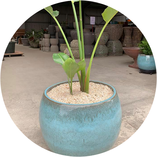 Glazed Round Pot