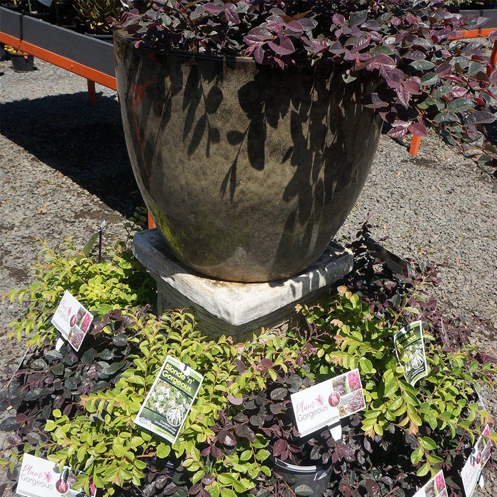Pots Hero Square