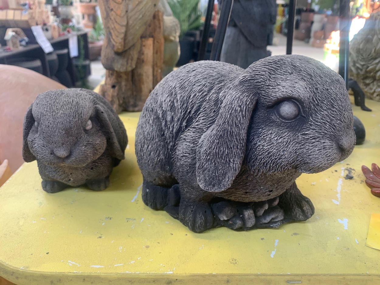 Animals