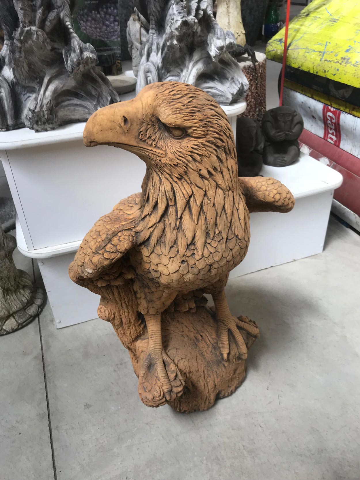 Animals