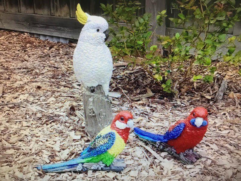 Animals