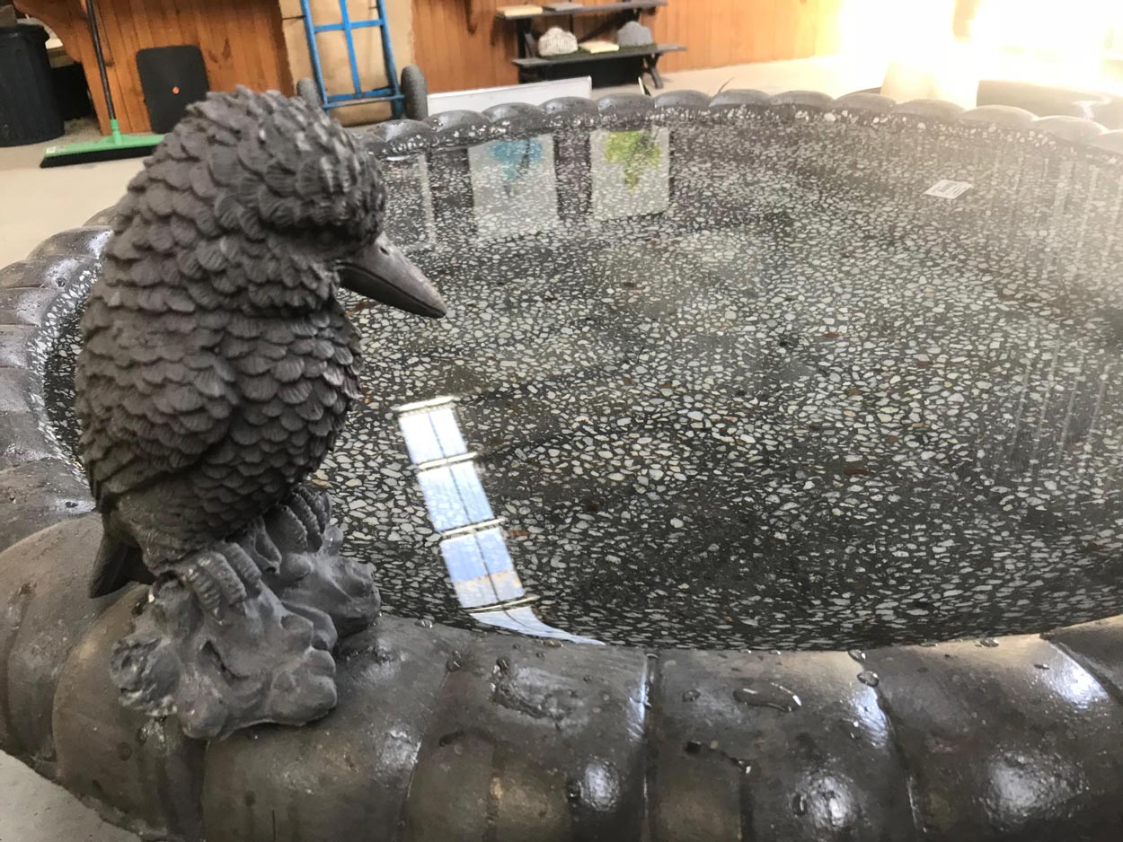 Bird Bath