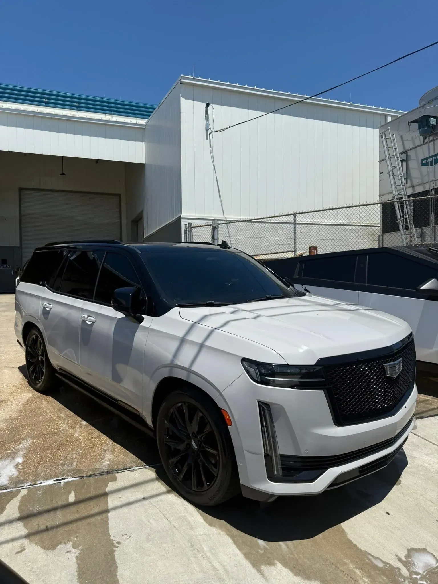 White Cadillac Escalade SUV with black roof and wheels parked outdoors.