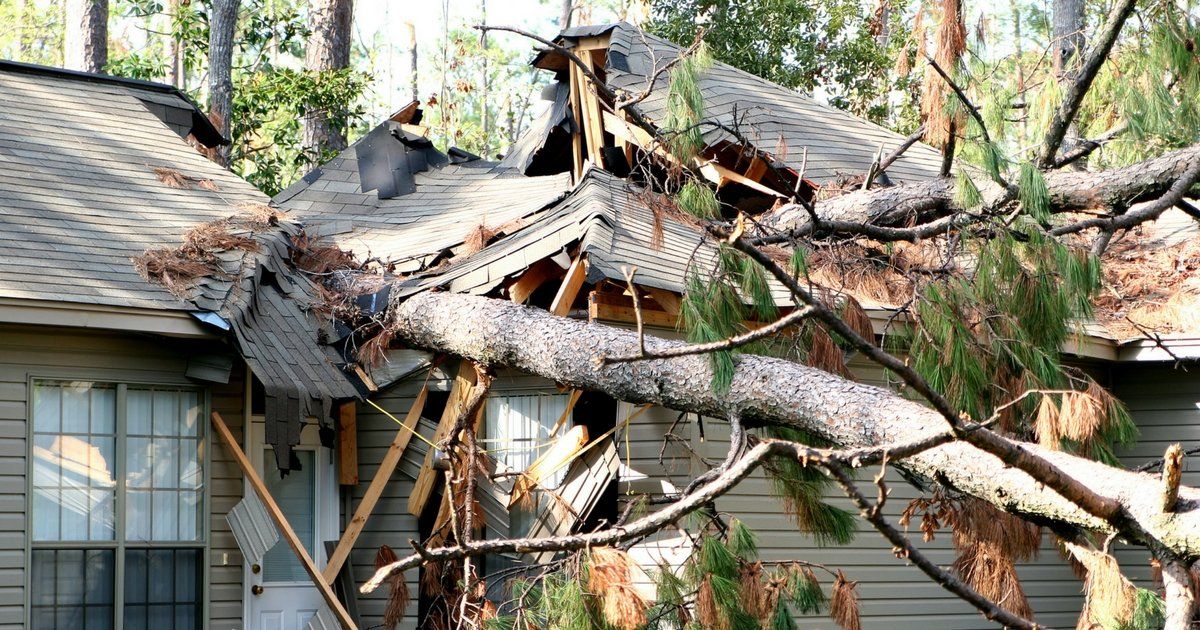 A tree has fallen on the roof of a house.