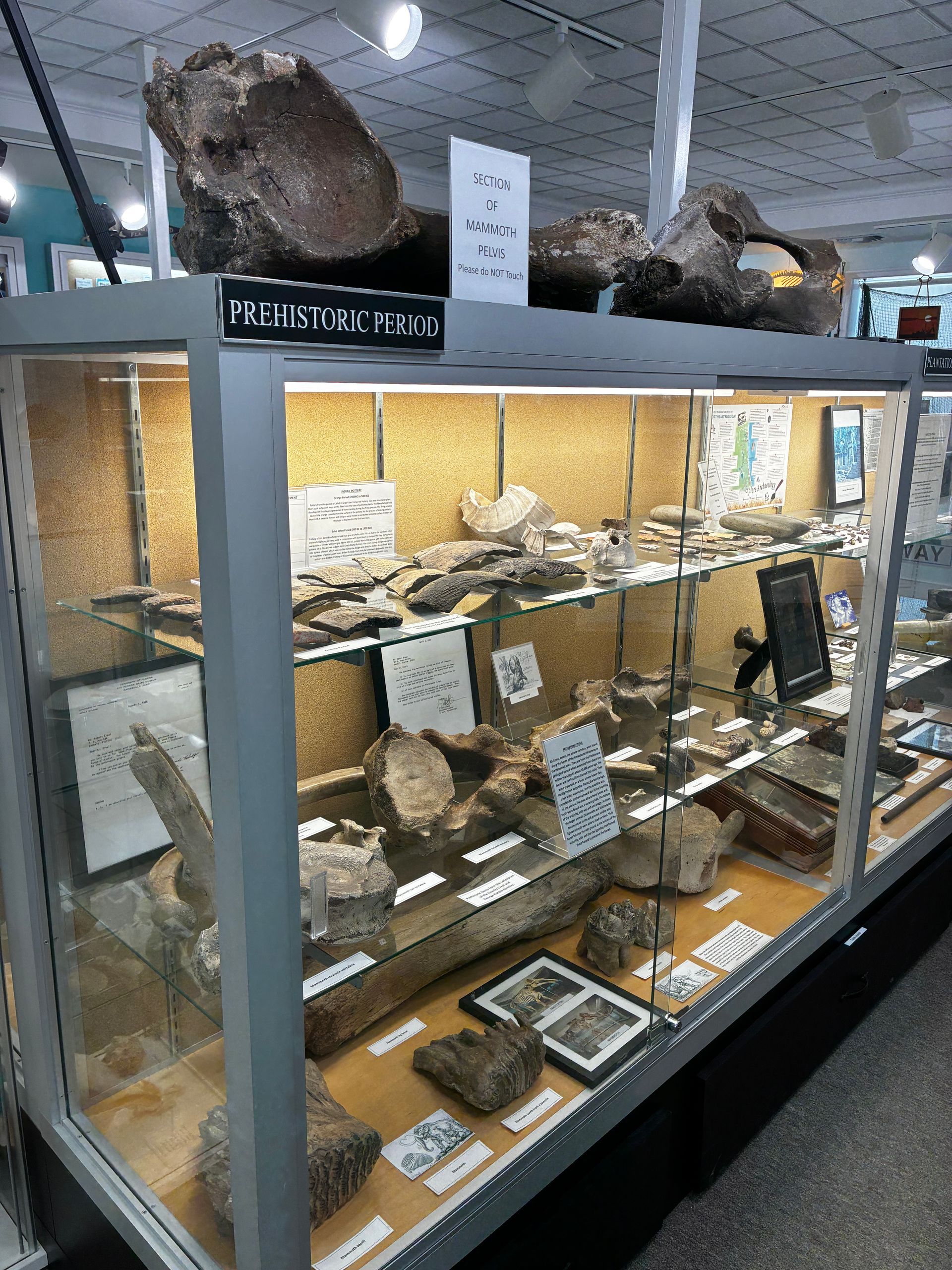 Glass display case of rocks and mineral specimens in a museum exhibit