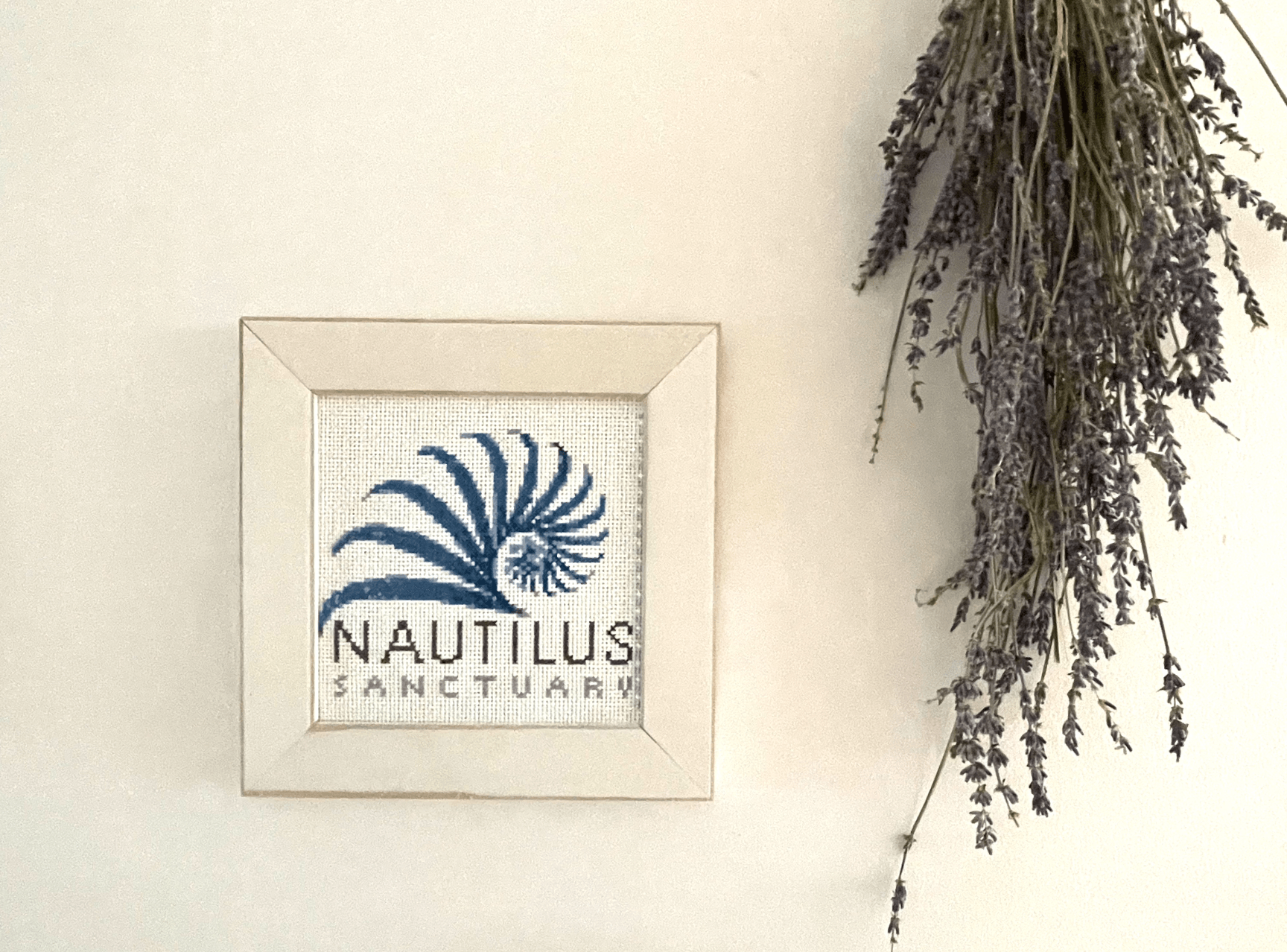 A picture of a nautilus sanctuary is hanging on a wall.