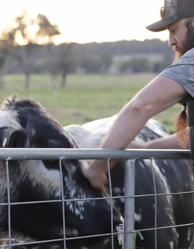 Animal Welfare