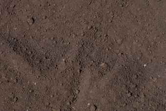 Background of dark fertile soil texture with small organic clumps