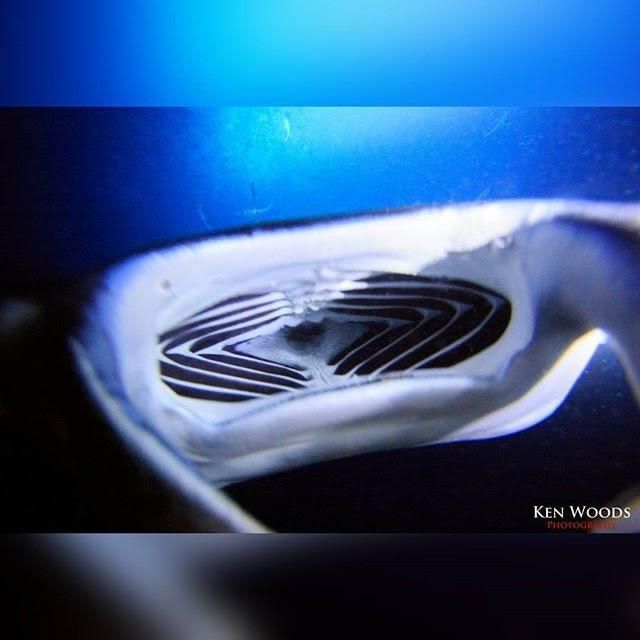A picture of a manta ray by ken wong