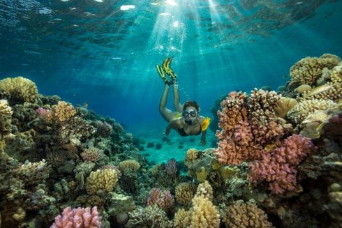 woman snorkeling