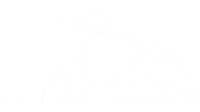 Apex Branding Services logo