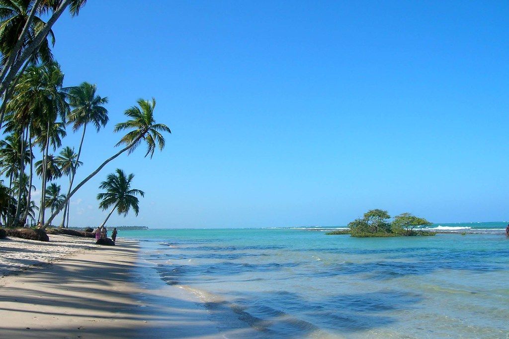 Praia com palmeiras, céu azul, água turquesa e uma pequena ilha.