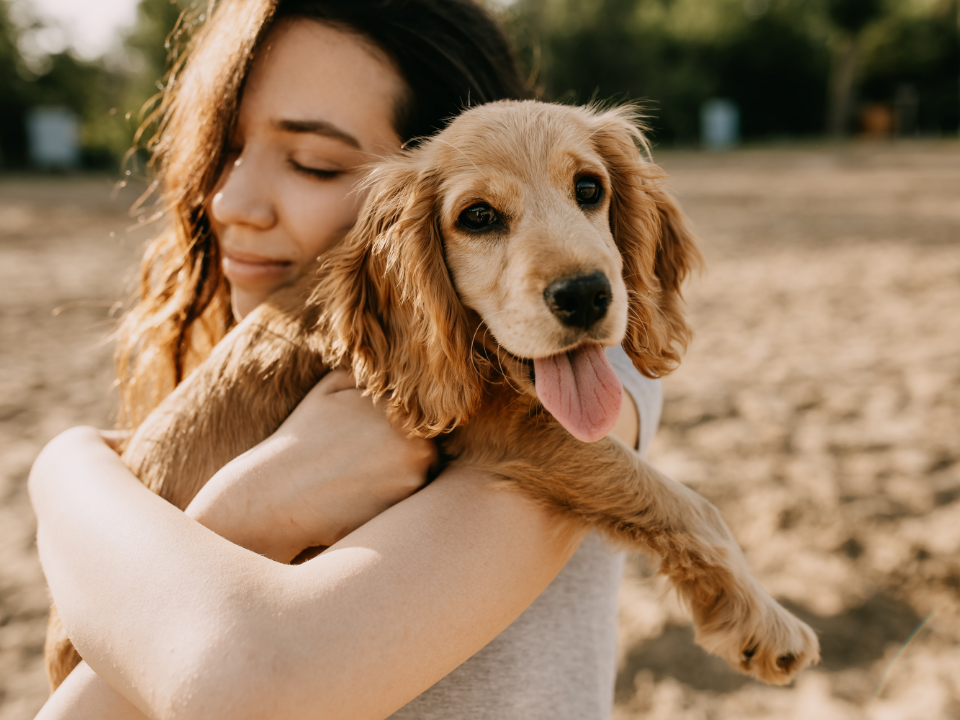 A woman is holding a cocker spaniel puppy in her arms.