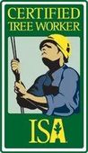 ISA