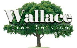 Wallace Tree Service Experts Wallace Tree Service Experts