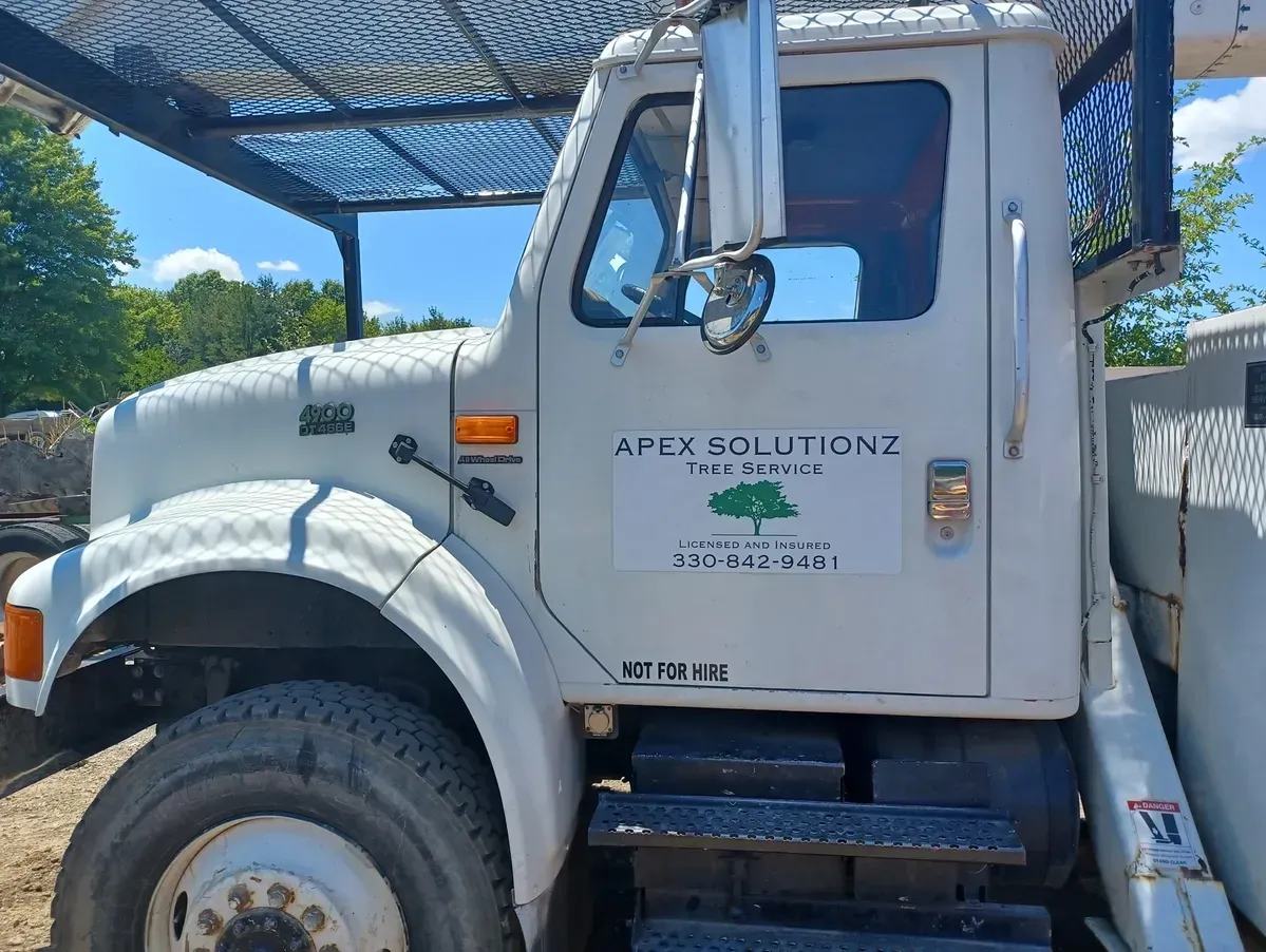 Emergency tree removal services Ravenna, Ohio