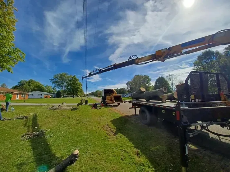 Tree Hauling and Cleanup, Stow, Ohio