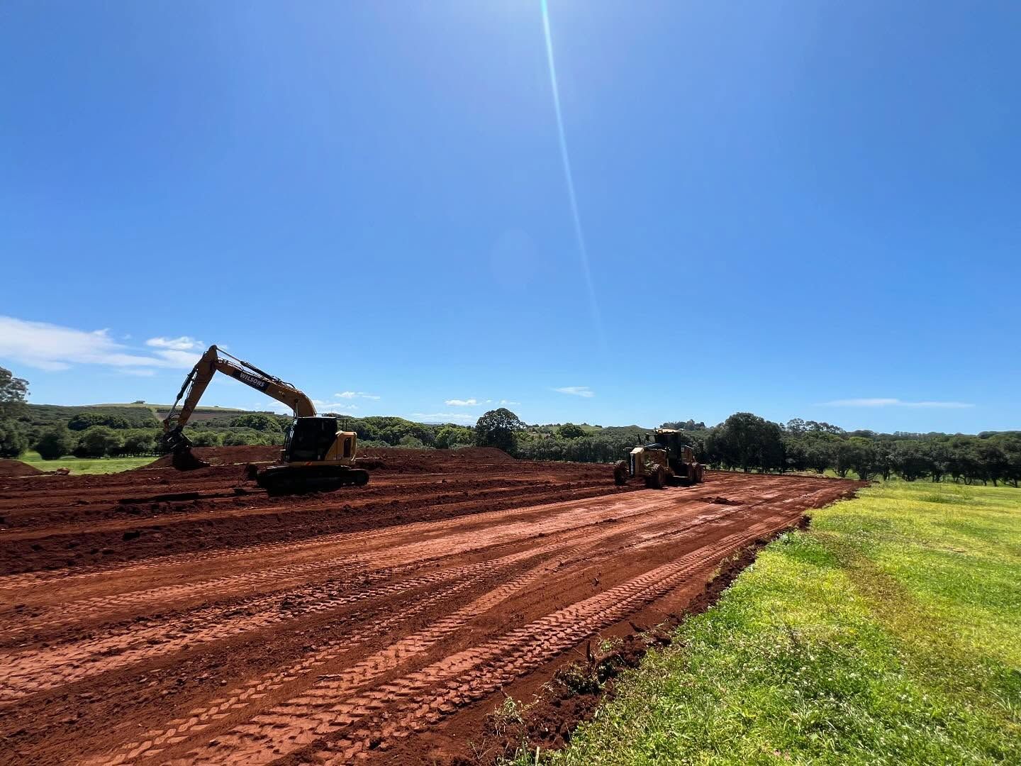 A Yellow And Black Excavator Is Parked In A Grassy Field — Wilsons Excavations & Plant Hire in Myocum, NSW