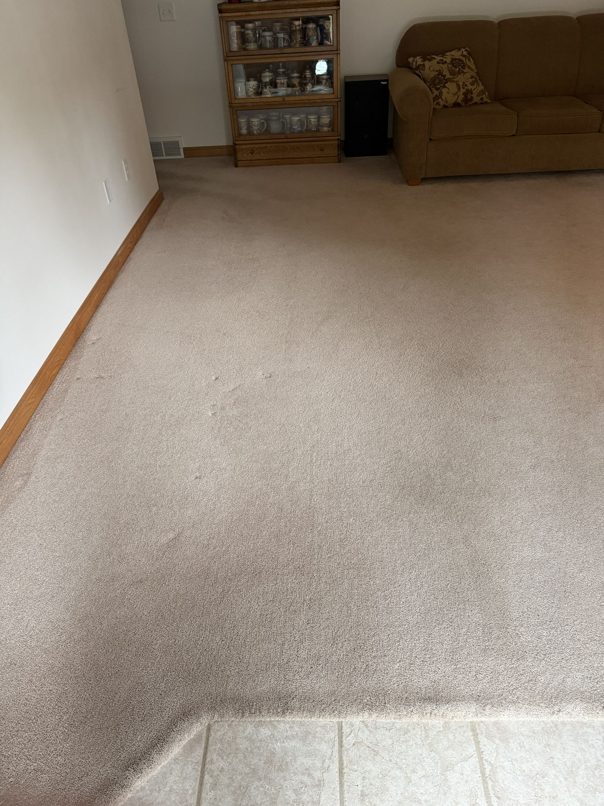Carpeted living room with a sofa and glass-front cabinet against the back wall.