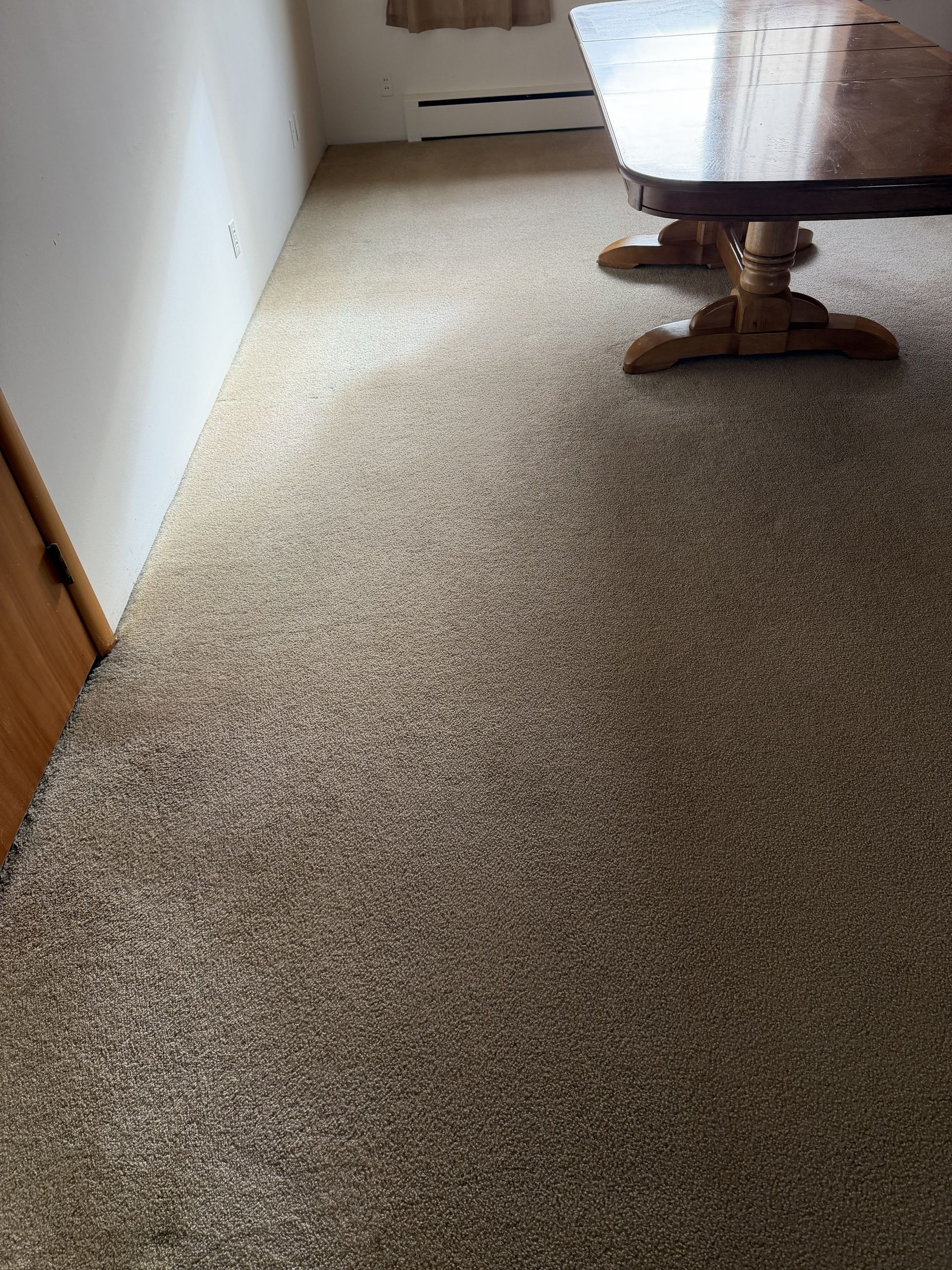 Carpeted hallway beside a white wall, with a wooden door and office chair visible.