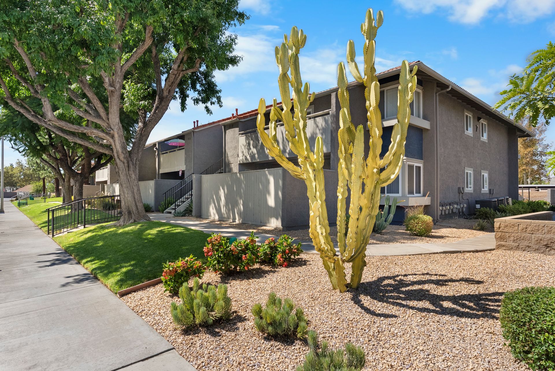 apartment exterior and landscaping plants