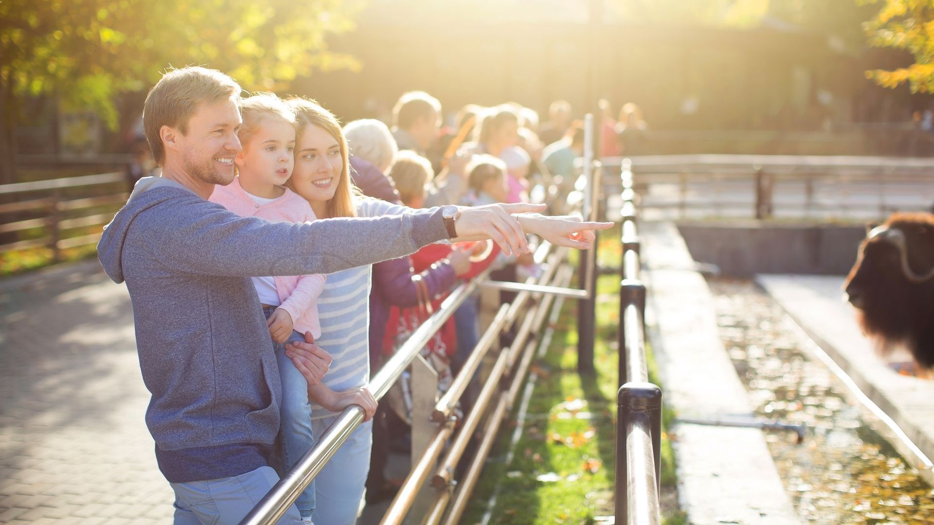 family at a zoo