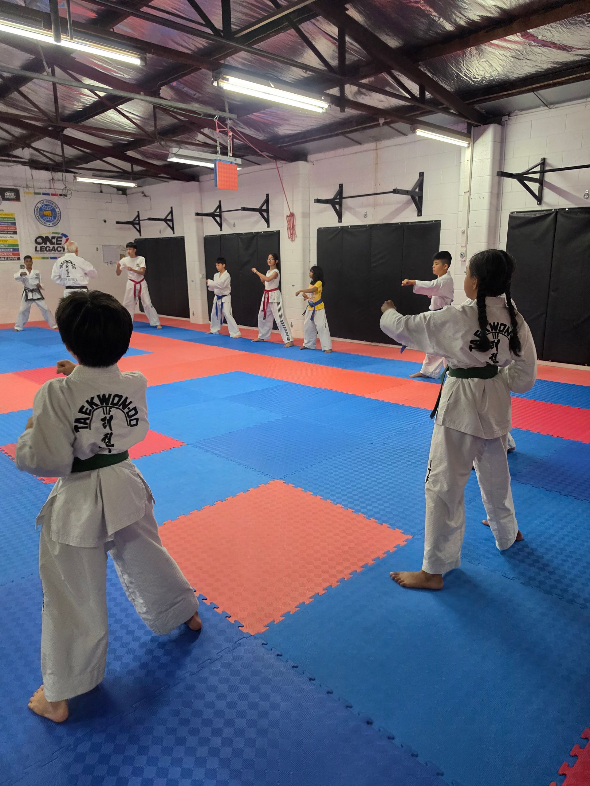 Children in karate uniforms practice in a dojo on red and blue mats