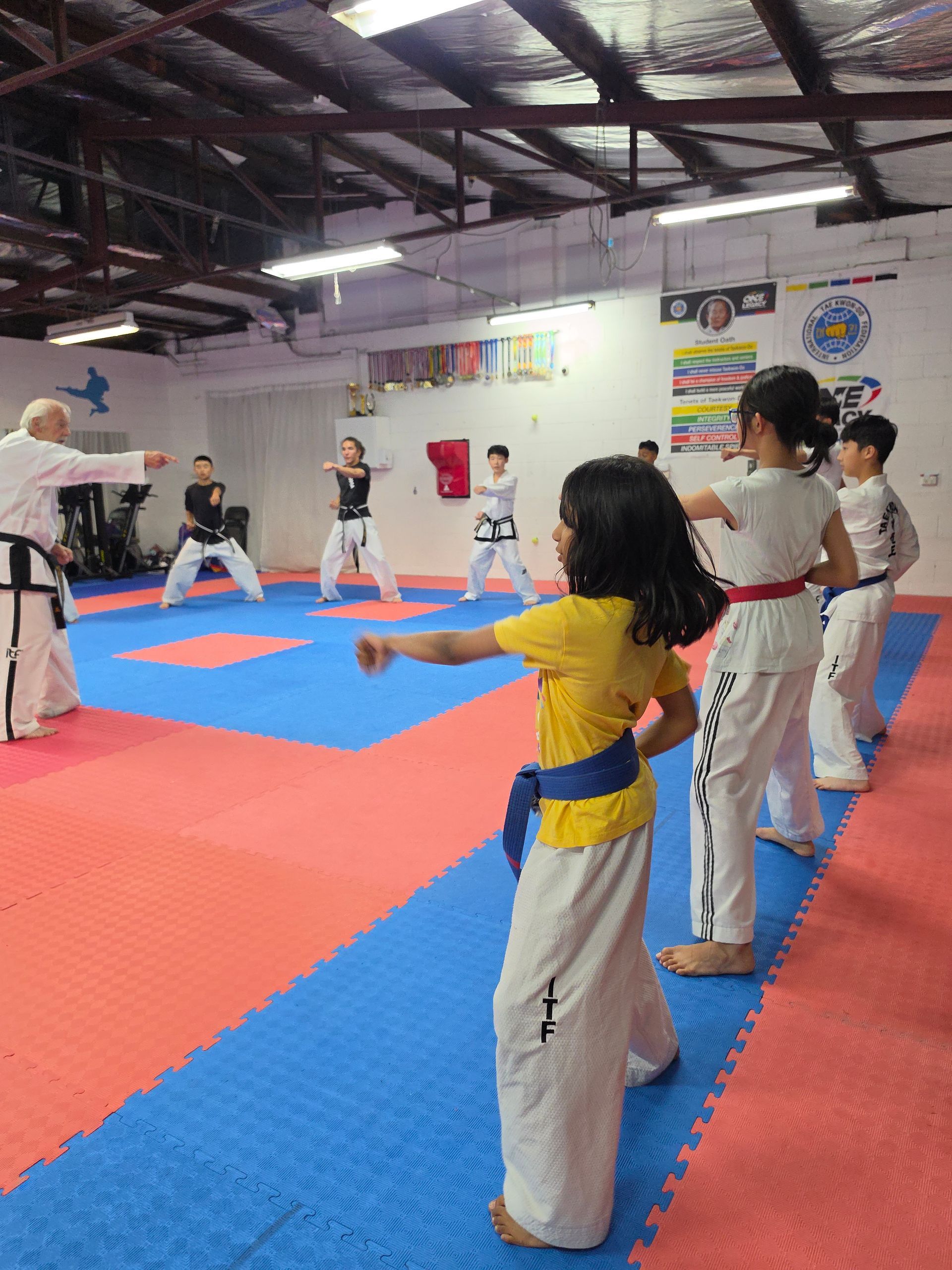 Martial arts class practicing punches on red and blue mats in a bright studio