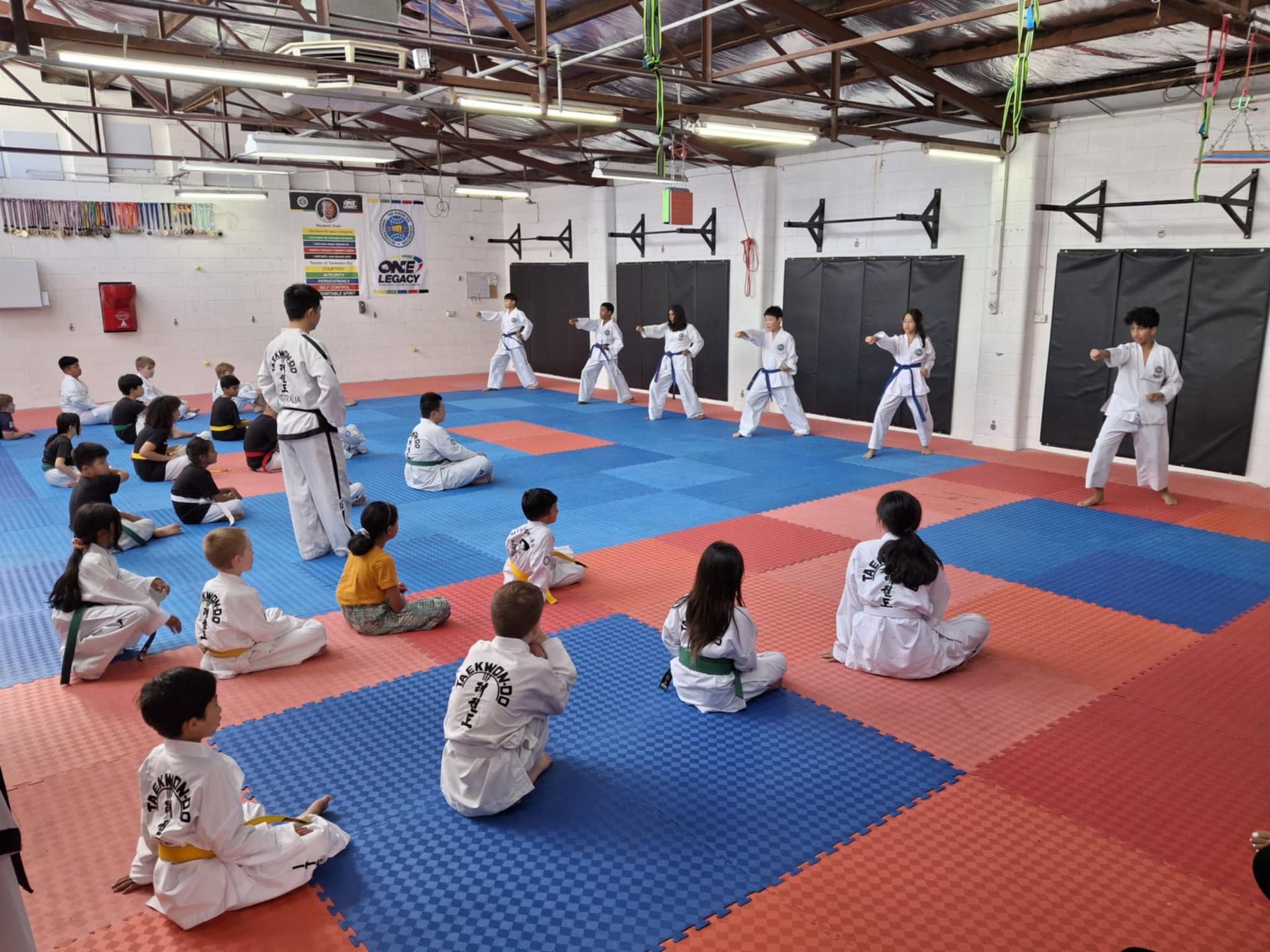 Martial arts class practicing in a gym on red and blue mats with an instructor at the front