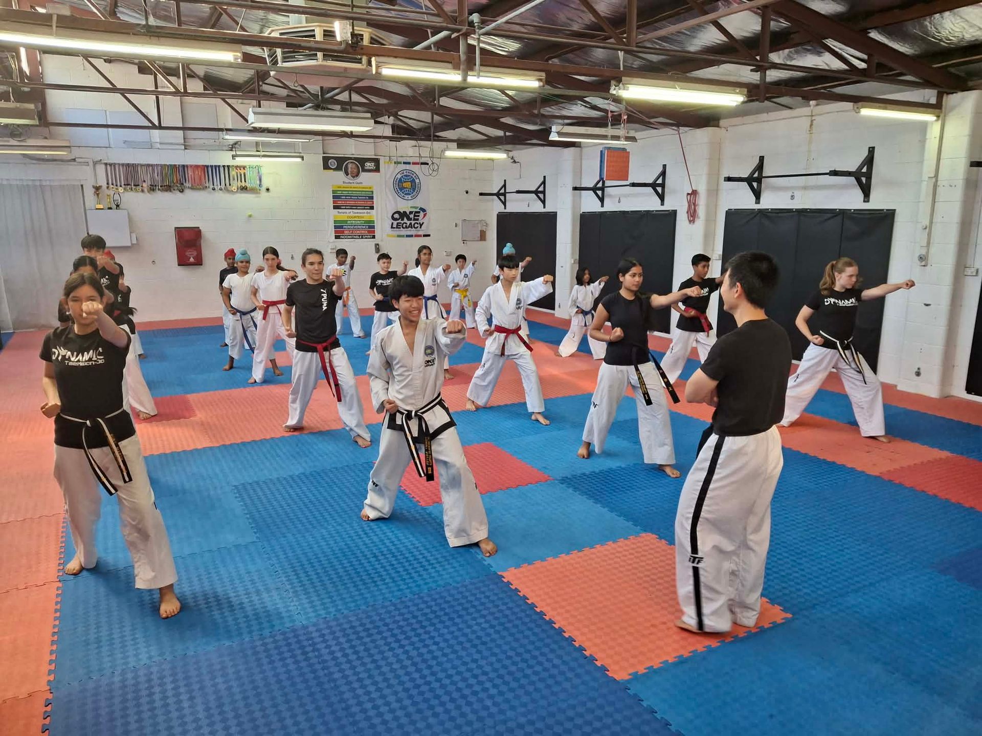 Martial arts class practicing kicks and stances on red and blue mats in a training gym