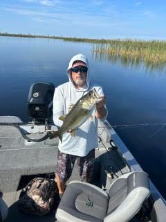 Person on a boat holding a large fish on a calm lake with reeds in the background