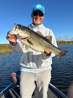 Angler holding a large bass on a boat on a lake, wearing a blue cap and sunglasses.